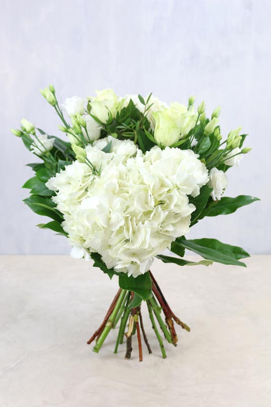 White Hydrangea