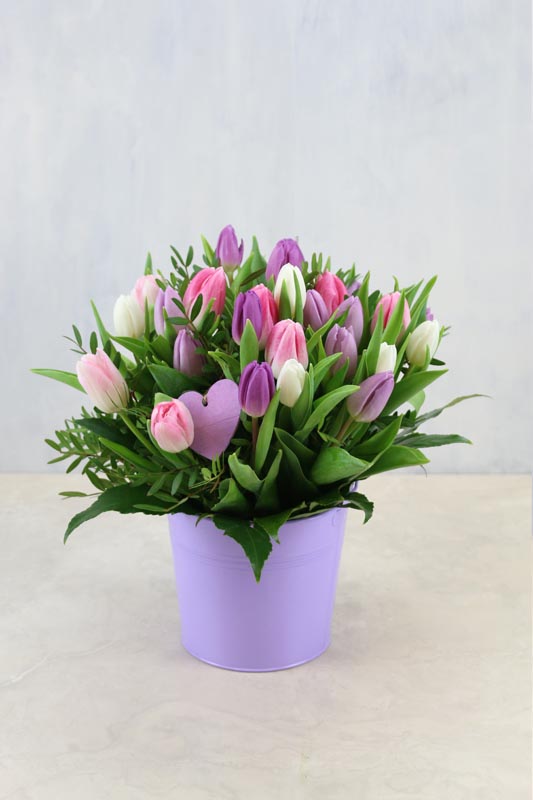 Tulip Bucket