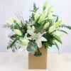 Lillie White - oriental lilies with beautiful seasonal foliage