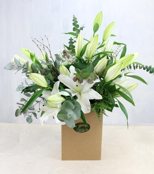 Lillie White - oriental lilies with beautiful seasonal foliage