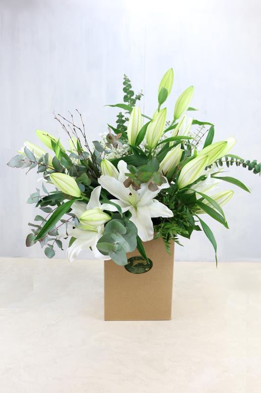 Lillie White - oriental lilies with beautiful seasonal foliage