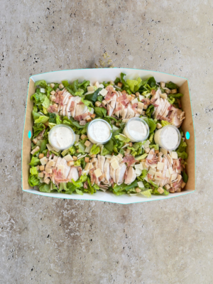 LARGE SALAD BOX
