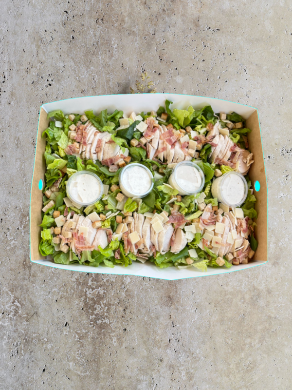 LARGE SALAD BOX
